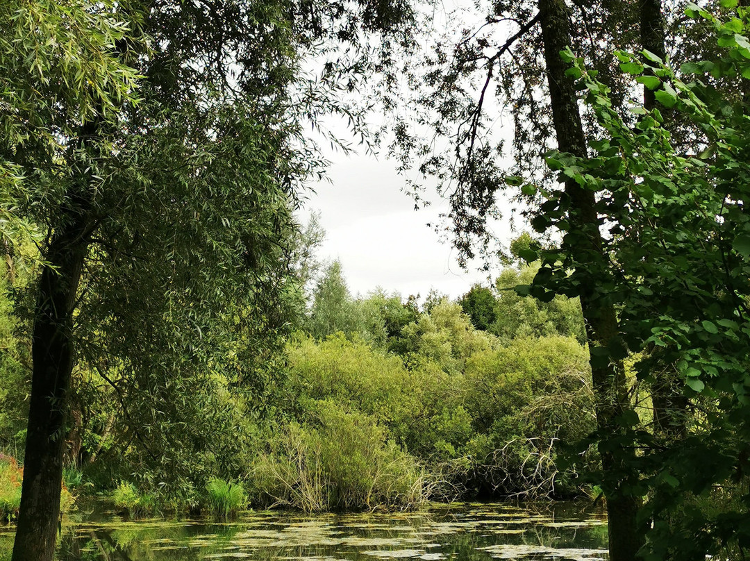 Le Parc de la Bouvaque-Abbeville必去景点