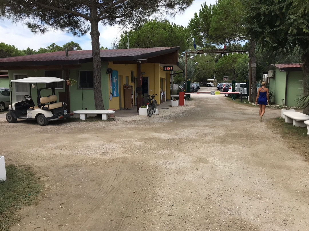 International Camping Pineta