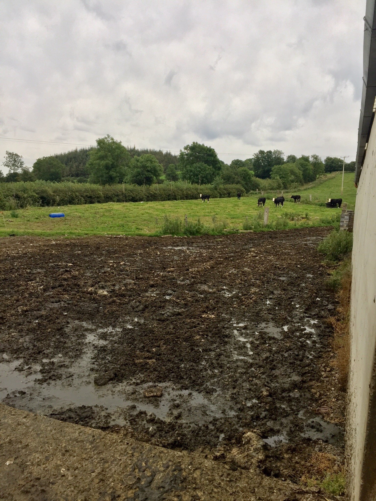 Damerstown Farmhouse B&B-官方