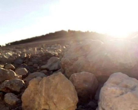 Corral de Almaguer旅游攻略图片