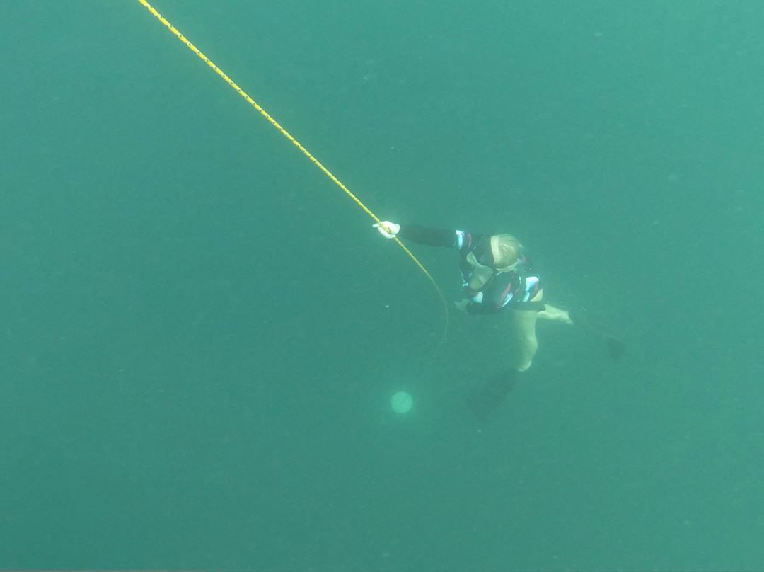 The Freediving Club-迪拜必去景点