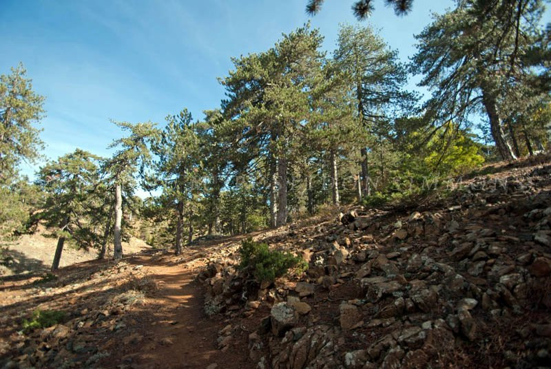 Atalante Nature Trail-特罗多斯必去景点