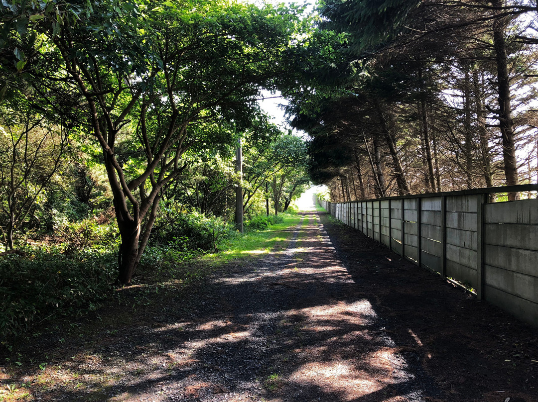 Samekado Lighthouse-八户市必去景点