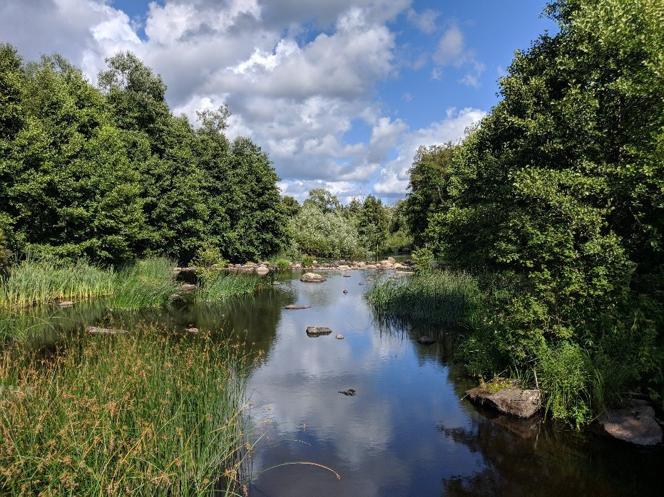 Illharjens Naturreservat-Vetlanda必去景点