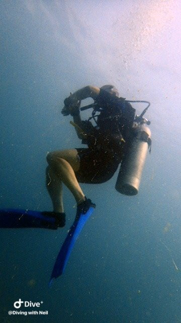龟岛潜水-涛岛必去景点