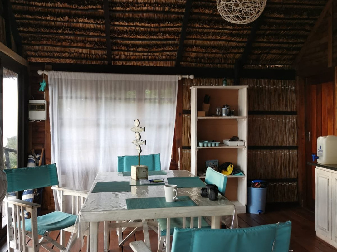 Paradise Dunes主图