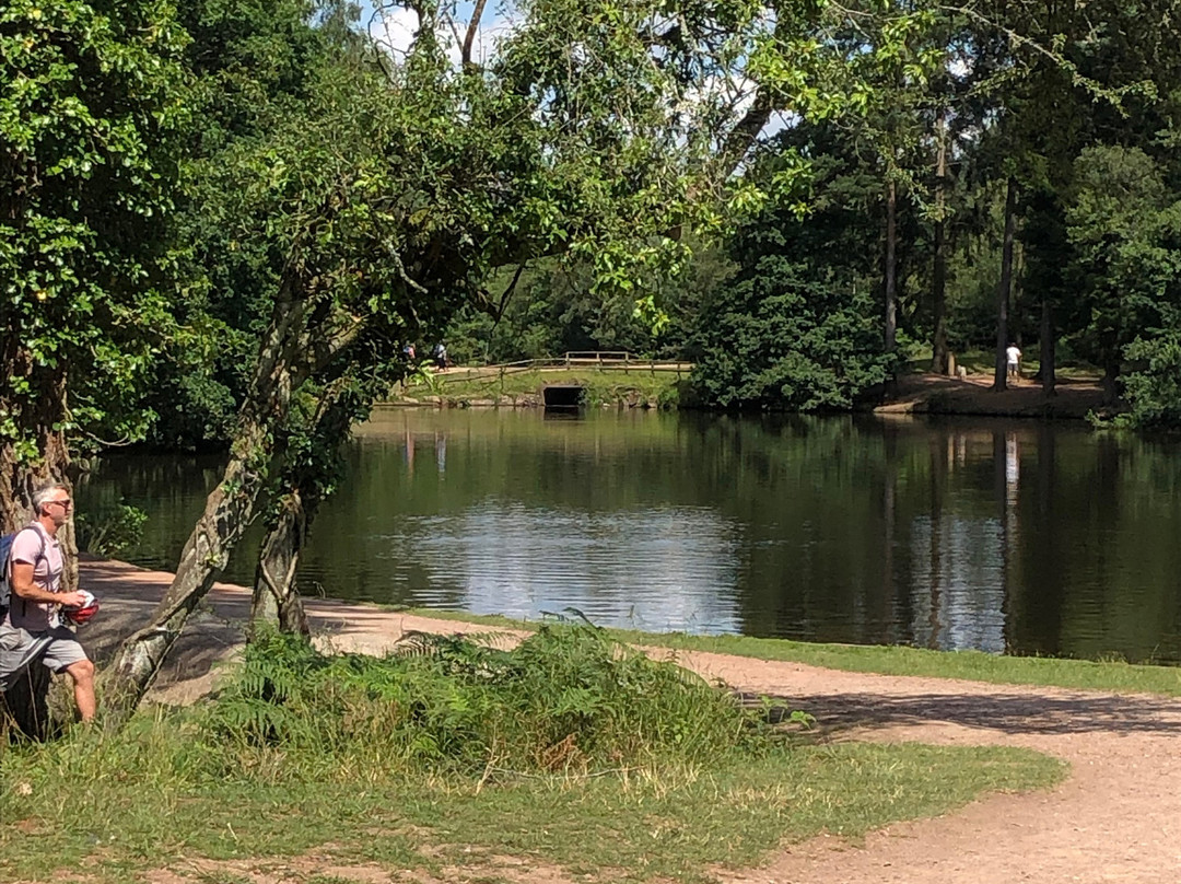 Forest of Dean Cycle Centre-Coleford必去景点