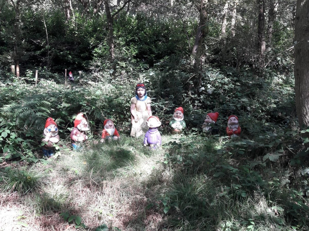 Gnome Magic Garden景点图片