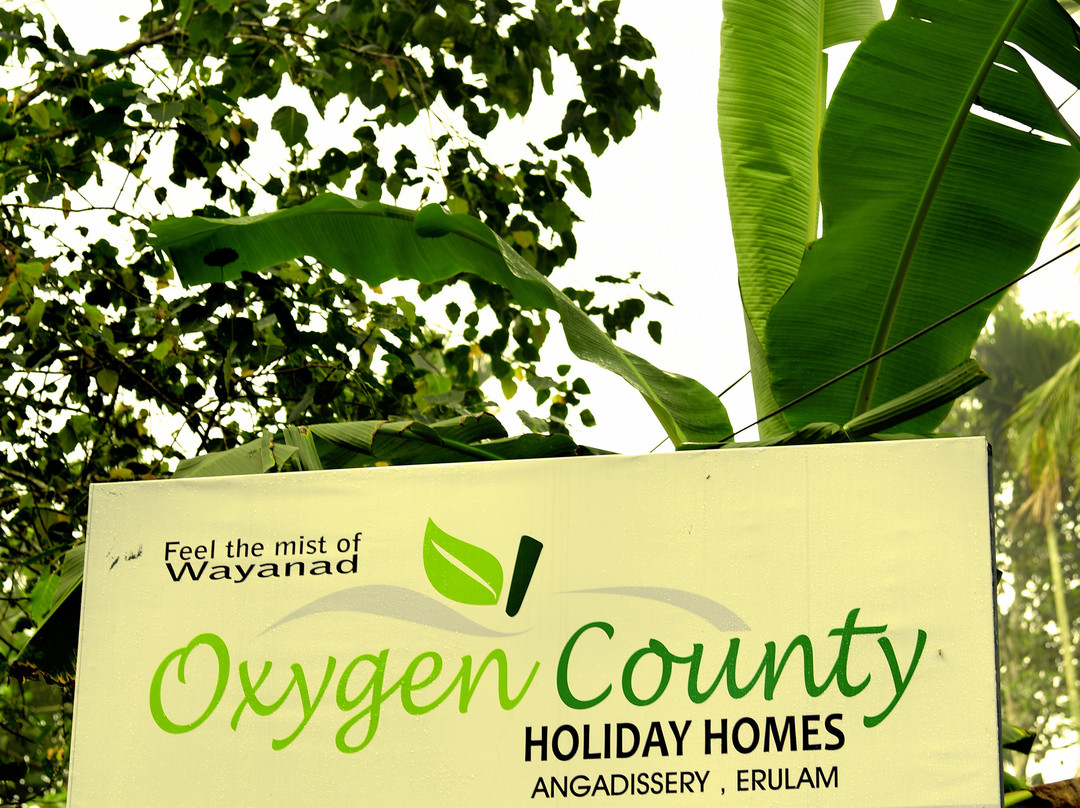 Oxygen County Holiday Homes