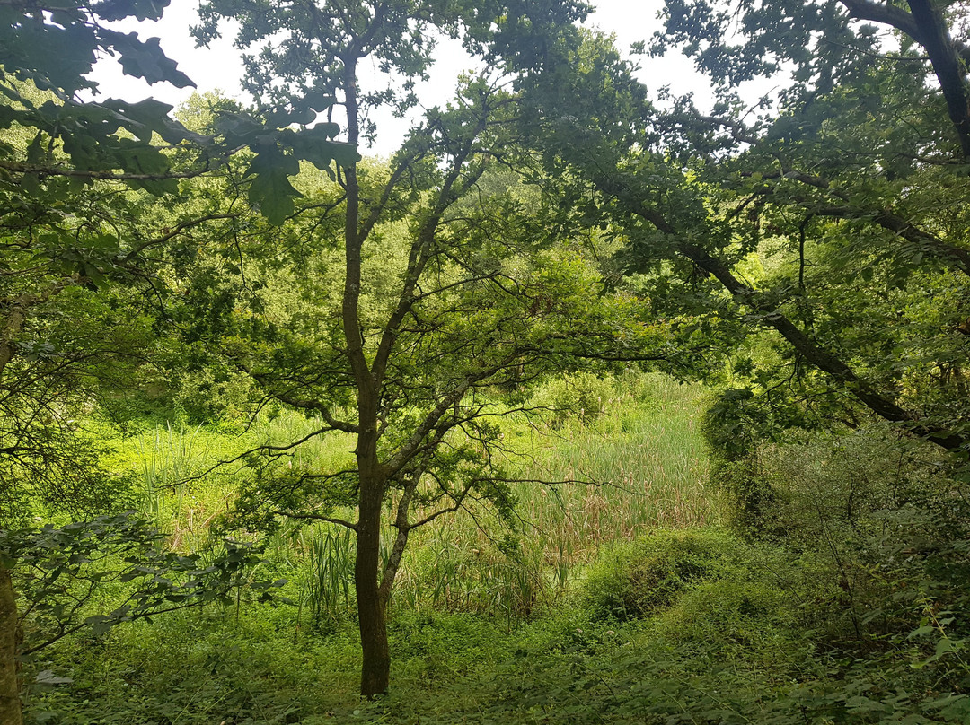 Red River Local Nature Reserve-Heanor必去景点