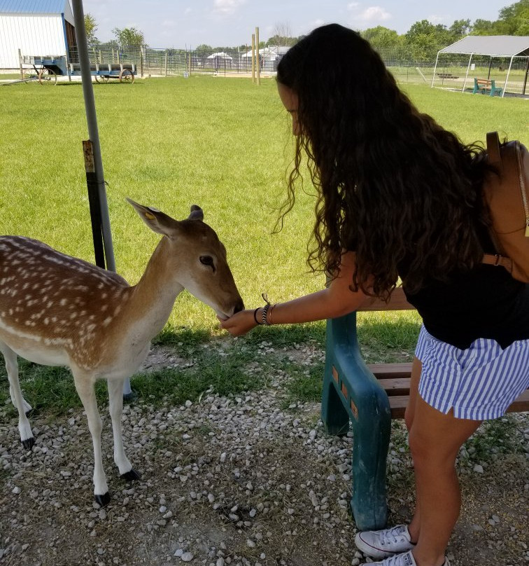 Big Joel's Safari-Wright City必去景点