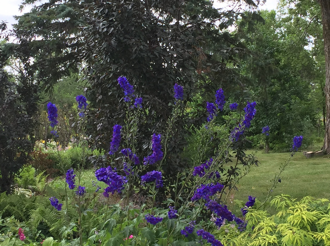 International Peace Gardens-波伊斯维因必去景点