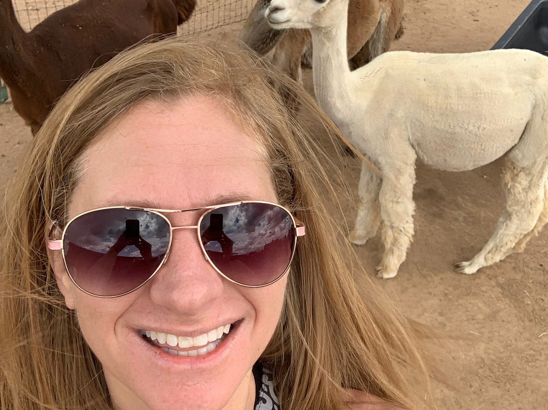 Blue Mesa Alpacas-圣菲必去景点
