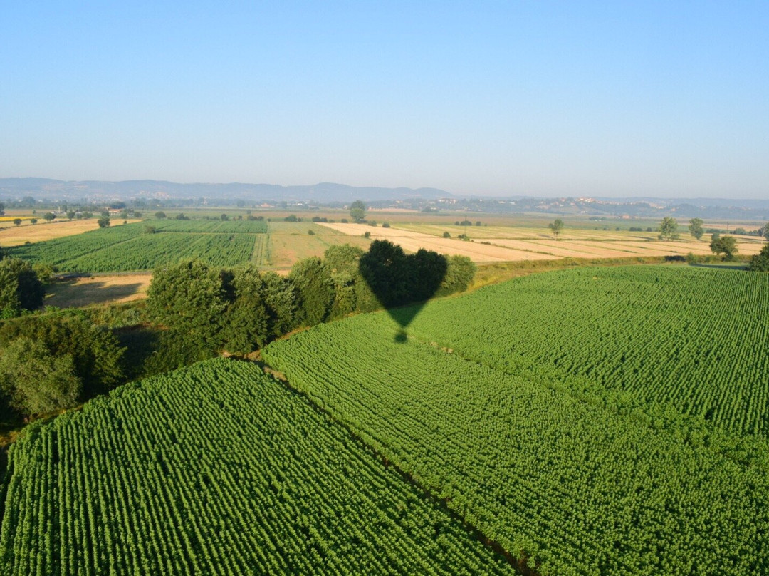 Ballooning in Tuscany景点图片