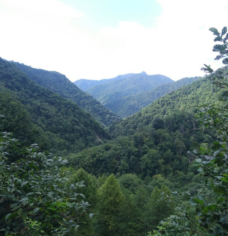 National Park Kintrishi景点图片
