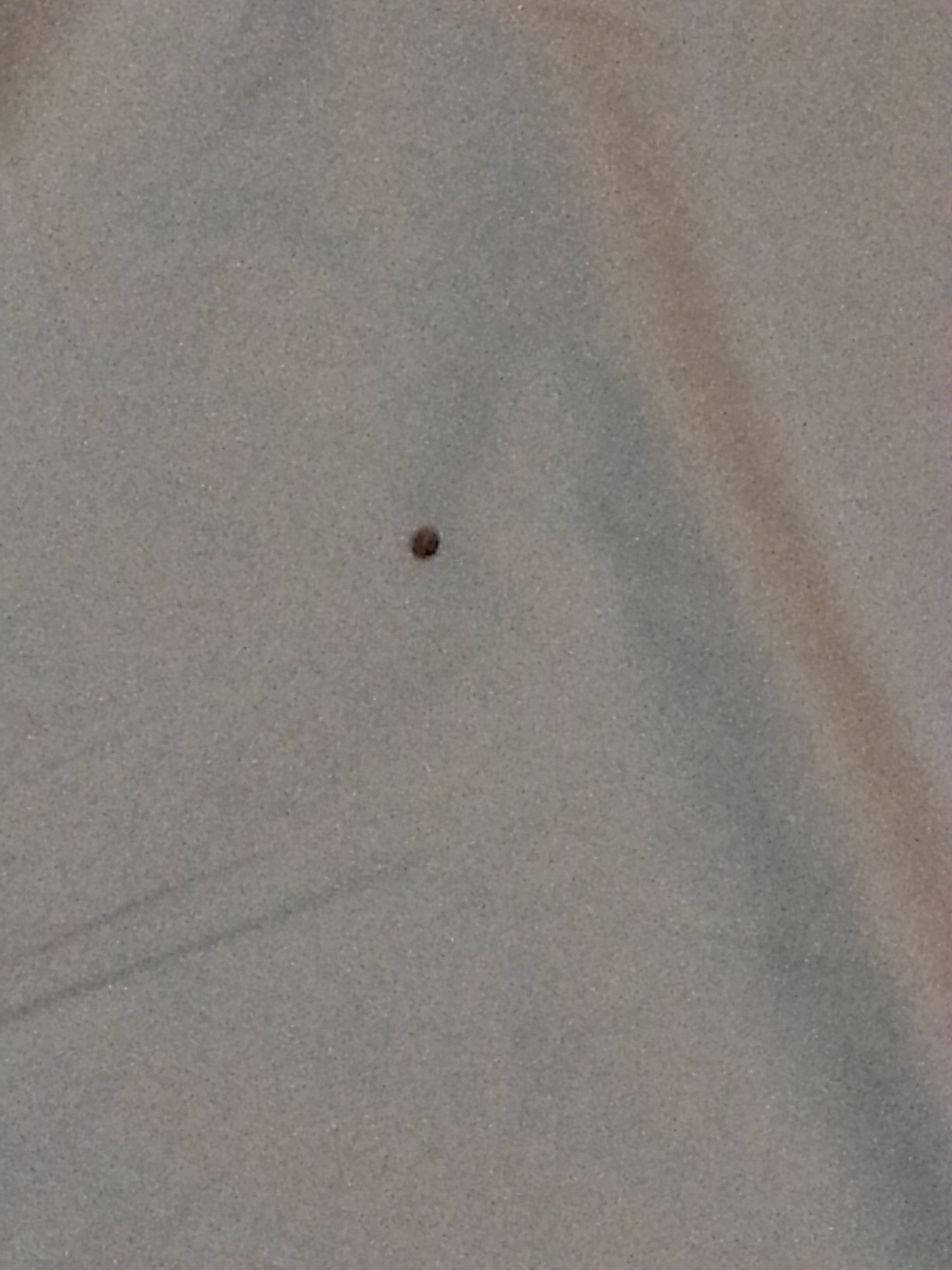 Batemans Bay Marina Resort-portrait