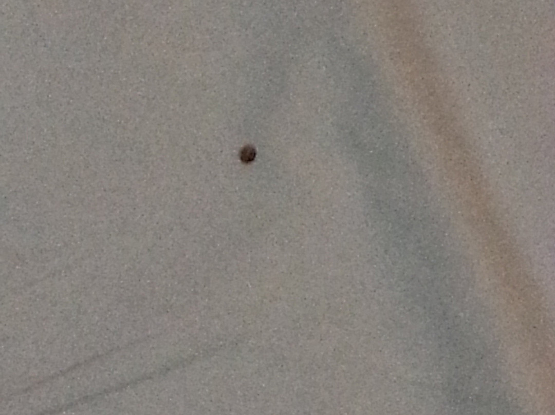 Batemans Bay Marina Resort主图