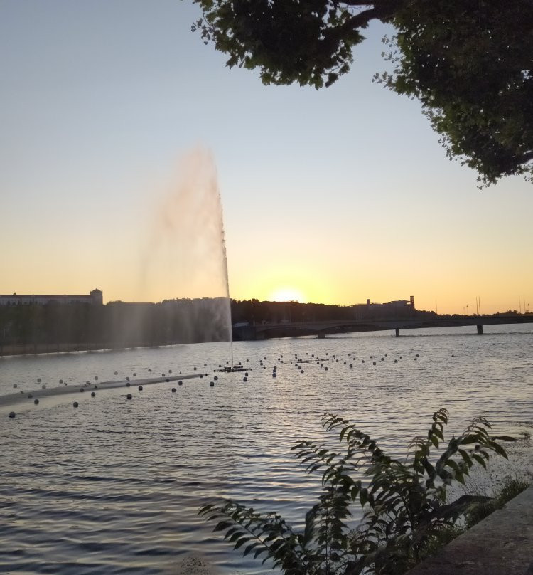 Parque Verde do Mondego景点图片