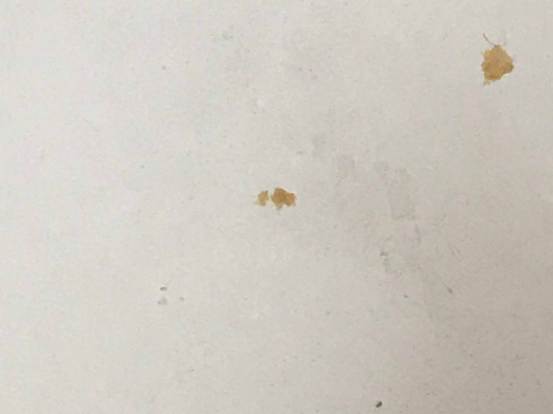 Days Inn By Wyndham Blytheville主图