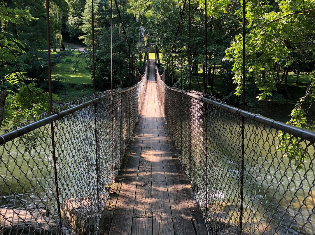 Dark Island Swinging Bridge-汤森必去景点