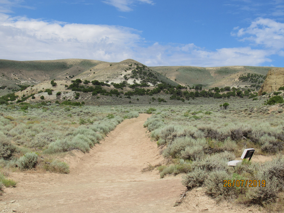 White Mountain Petroglyphs-Rock Springs必去景点
