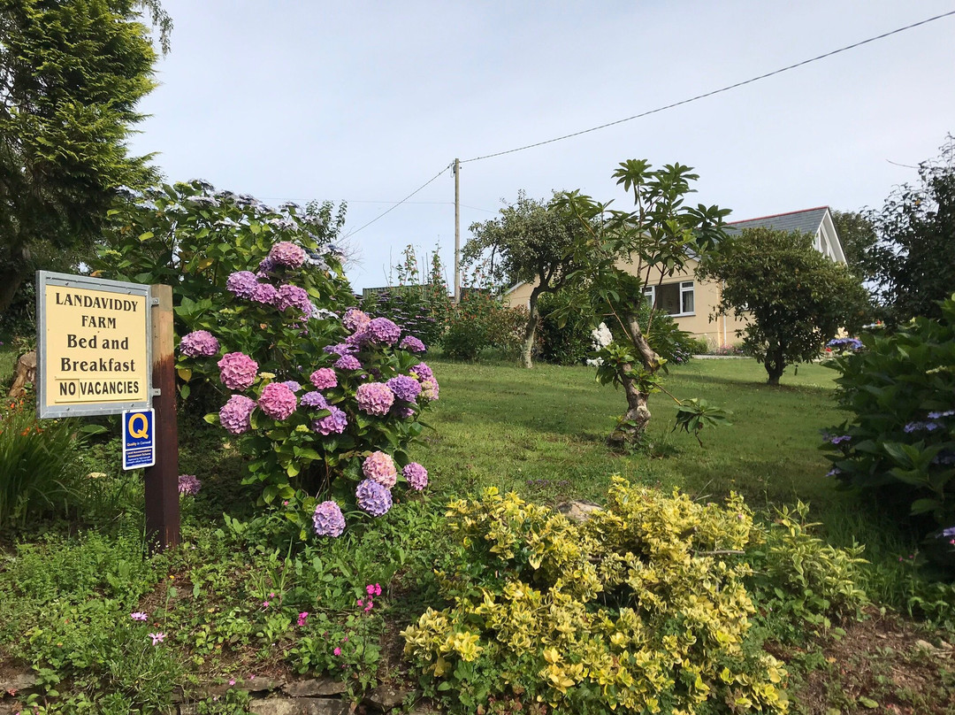 Landaviddy Farm