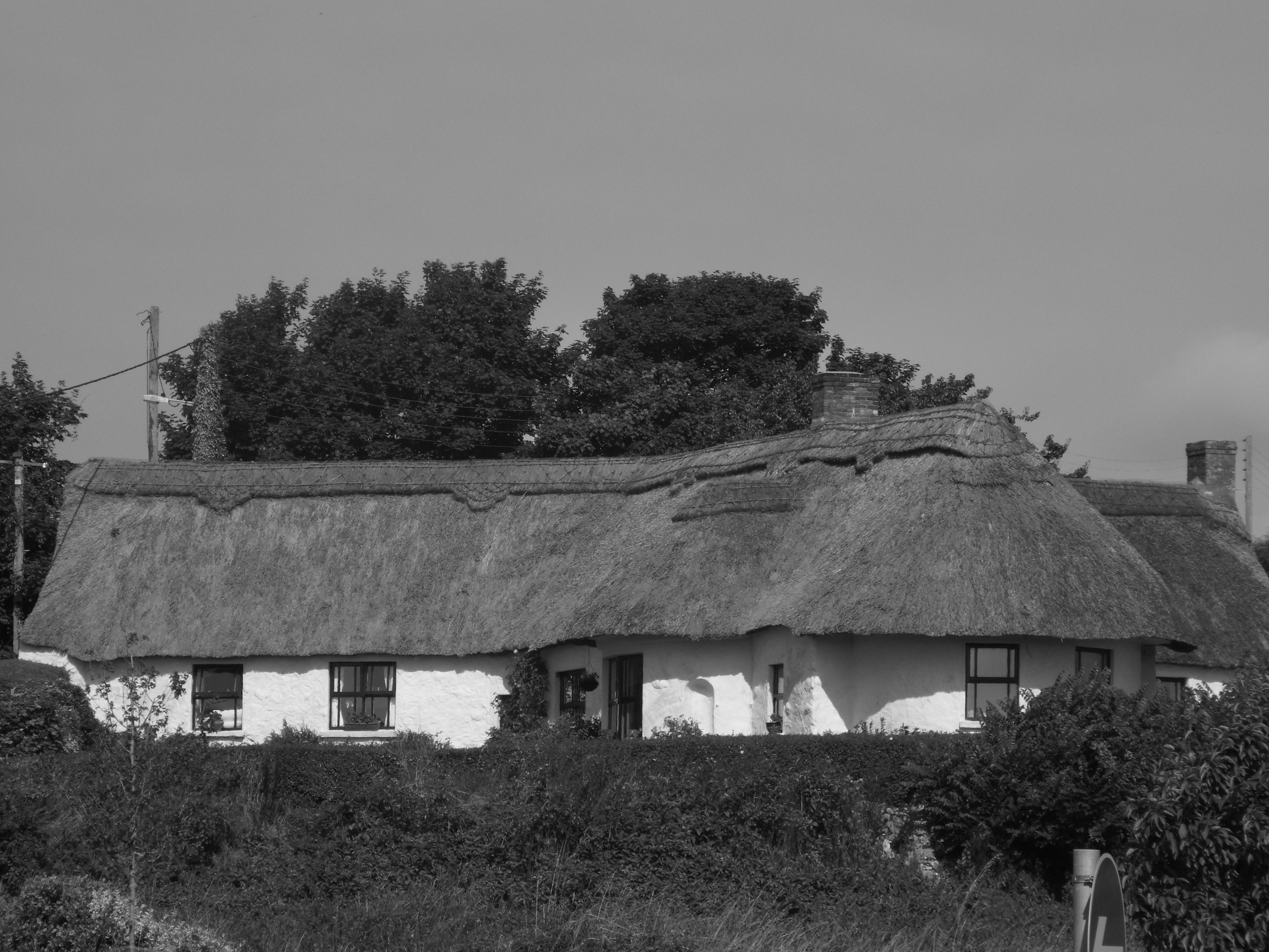 Spring Farm-浴室