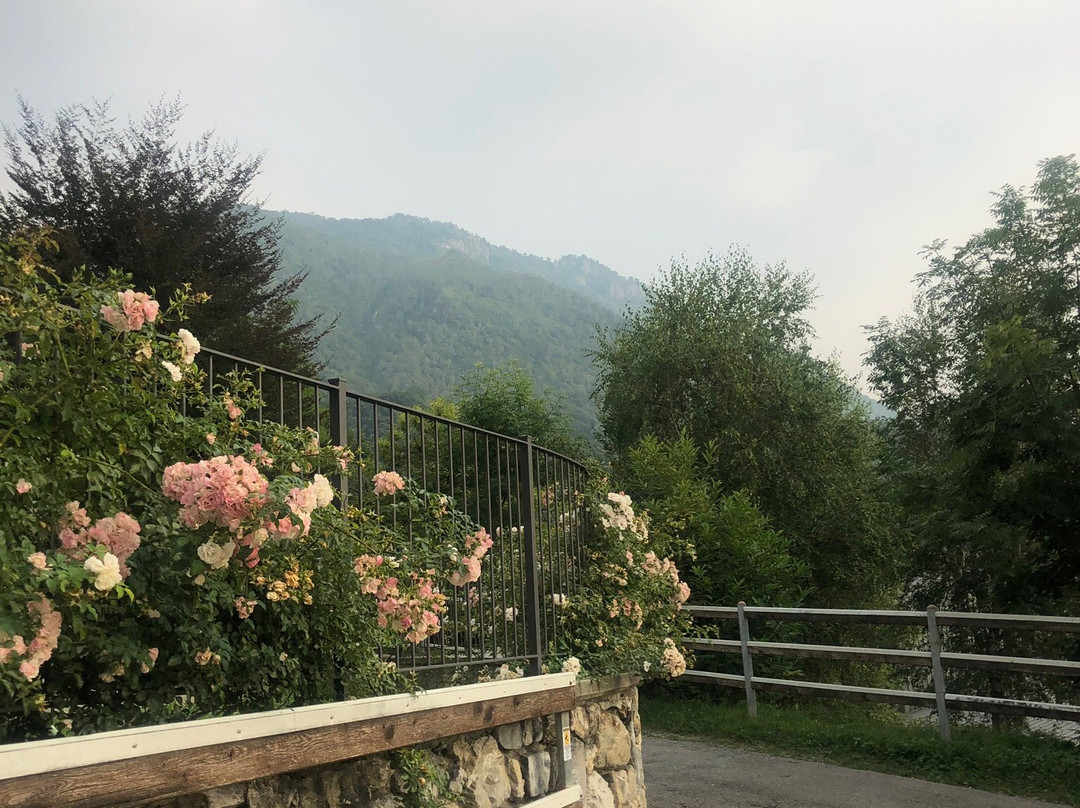 Agriturismo Deviscio主图