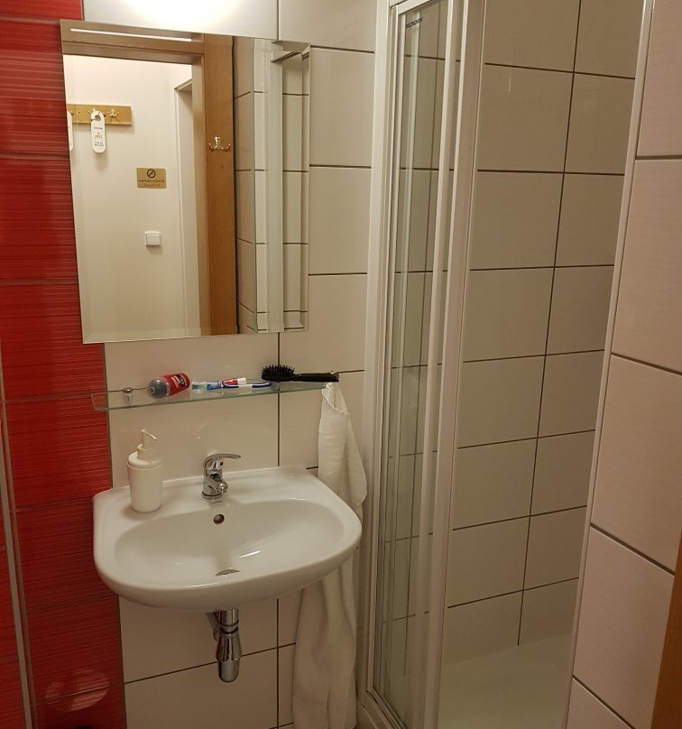 Hotel Pod Zelenym Dubem主图