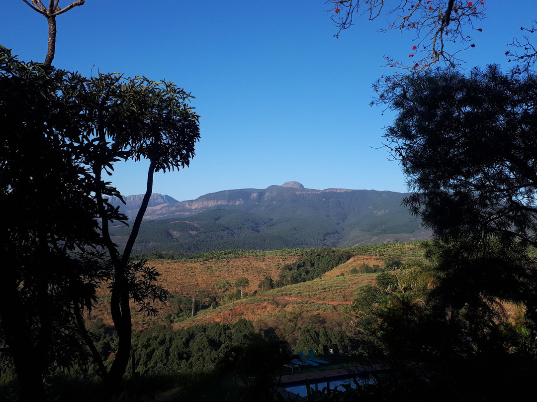 Granny Dot's Country Spot主图