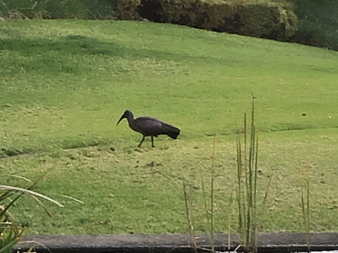 普罗蒂亚米德兰酒店主图