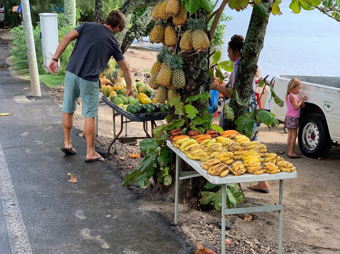 Enjoy Moorea-莫雷阿岛必去景点