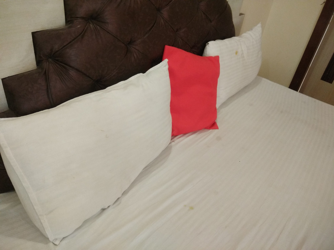 Hotel Holy Basil主图