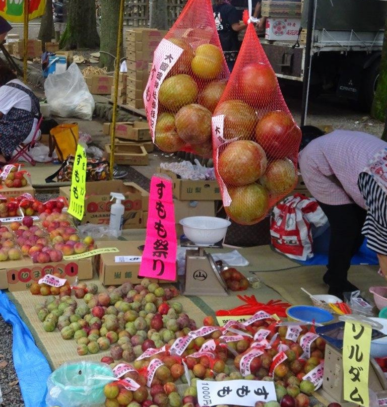 Okunitama Shrine Plum Matsuri-府中市必去景点