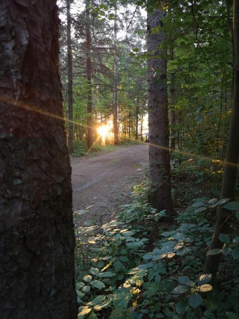 Valens Conservation Area-汉密尔顿必去景点