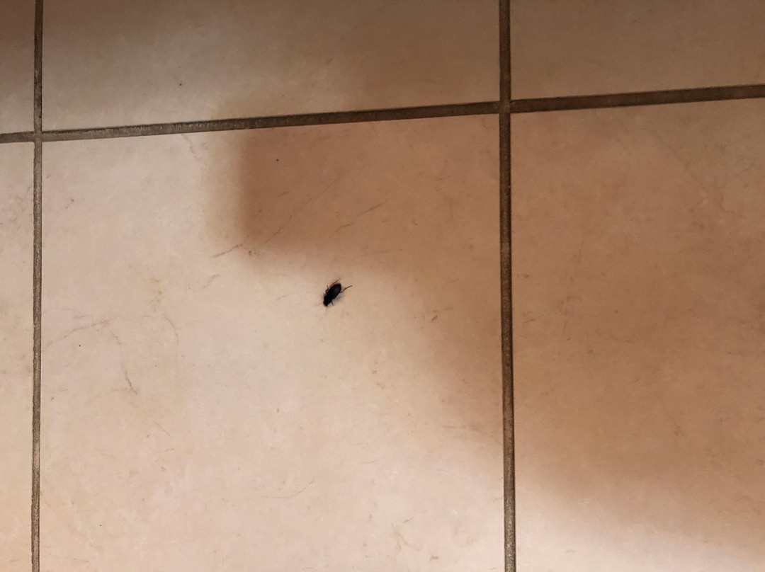 Holiday Inn & Suites Stillwater - University West by IHG主图