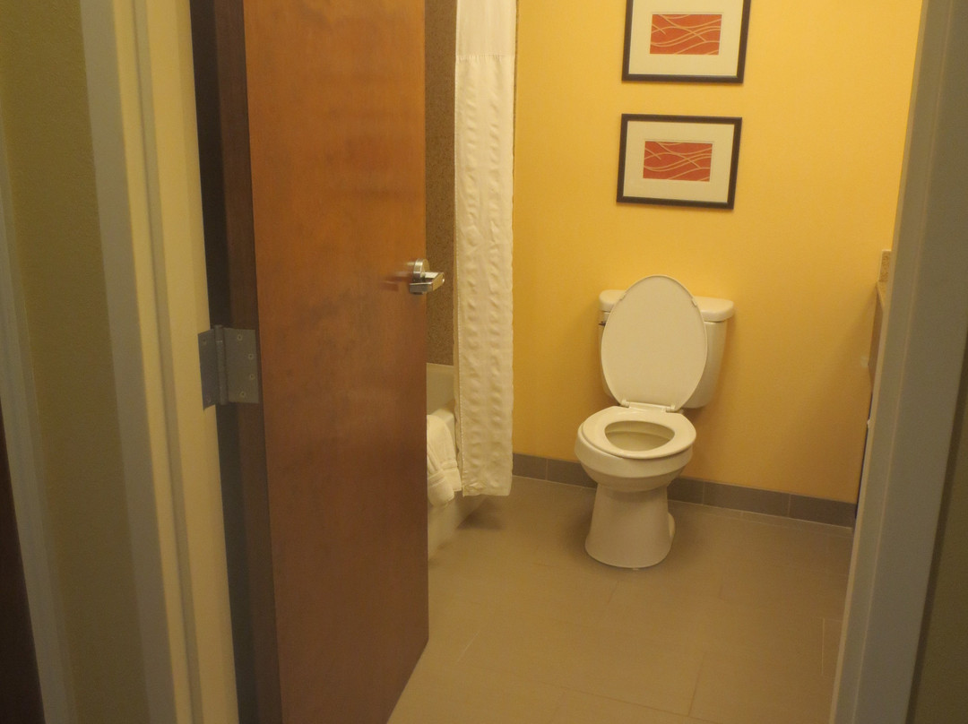 Comfort Inn & Suites主图