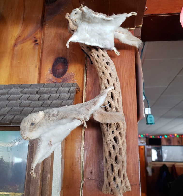 Georgia's Bar' n Grill