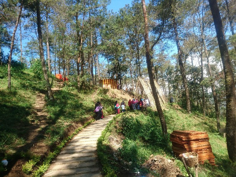 The Lawu Park景点图片