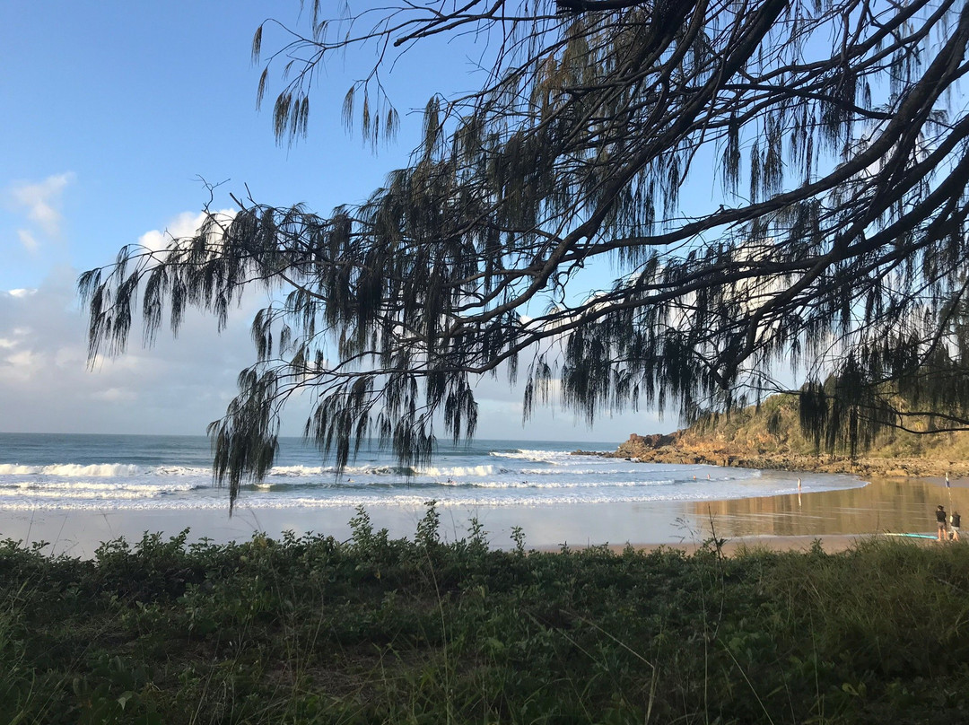 Mango Tree Motel主图