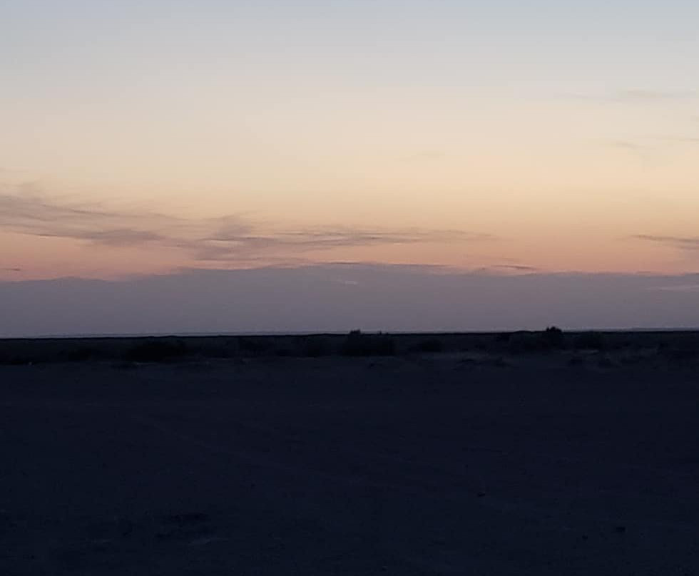 Mescalero Sands North Dune Off-Highway Vehicle Area-罗斯威尔必去景点