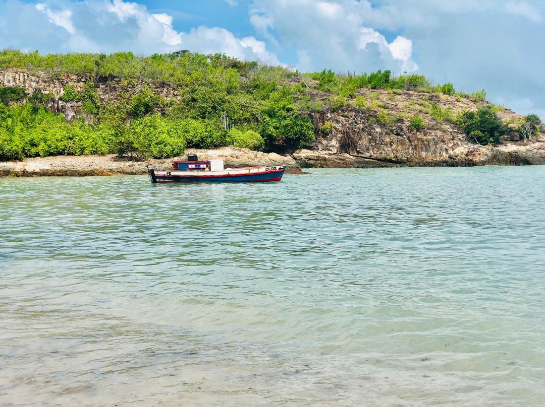 Ilha de Santo Aleixo景点图片