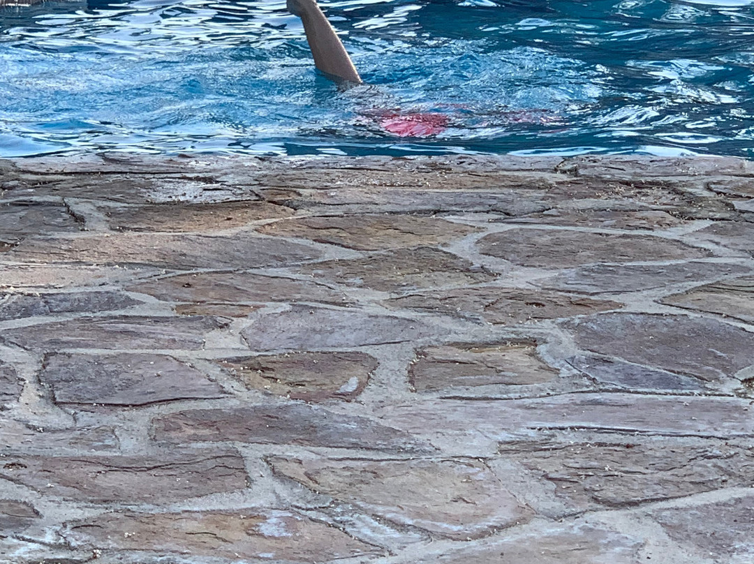 Rancho Buena Vista主图