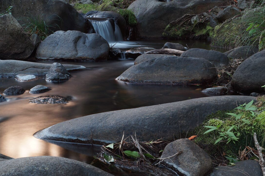 Brisbane Photography Courses-布里斯班必去景点