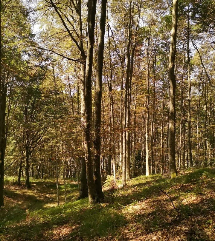 Hotel Bucaneve主图