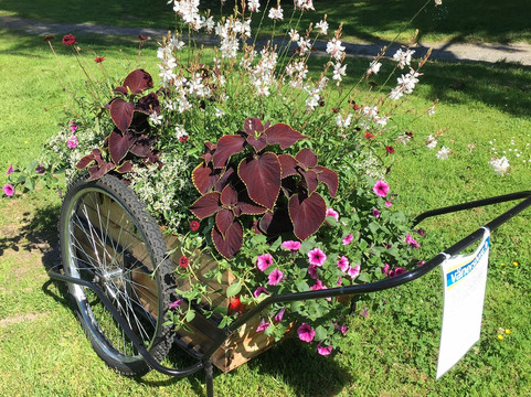 斯特兰德酒店主图