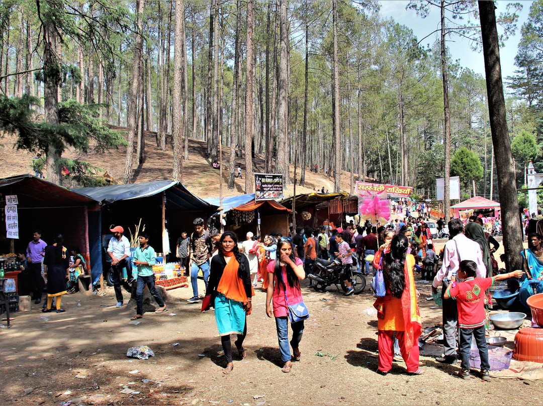 Swargashram Binsar Mahadev Mandir景点图片
