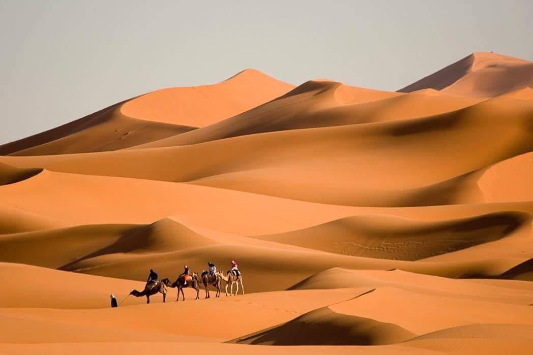 Tour Por El Desierto-梅如卡必去景点