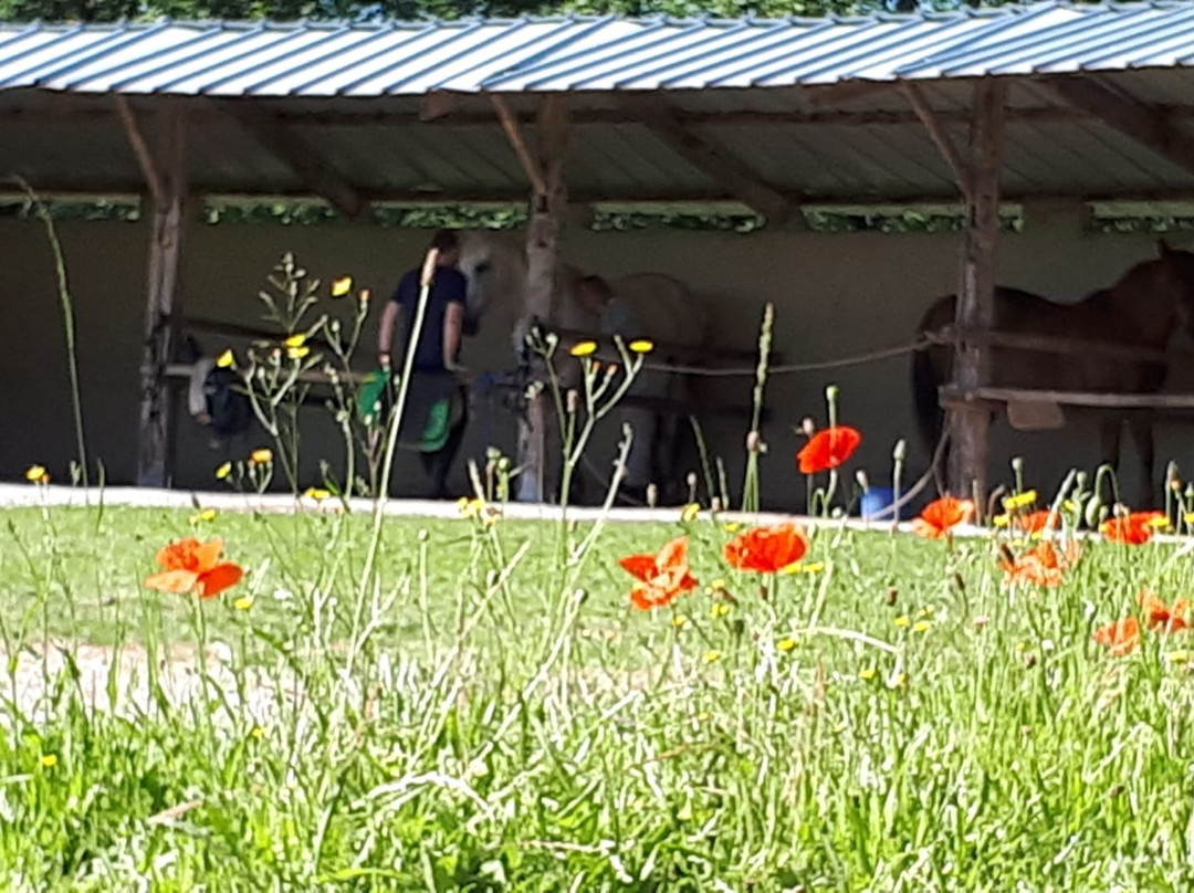 Domaine des Garennes主图