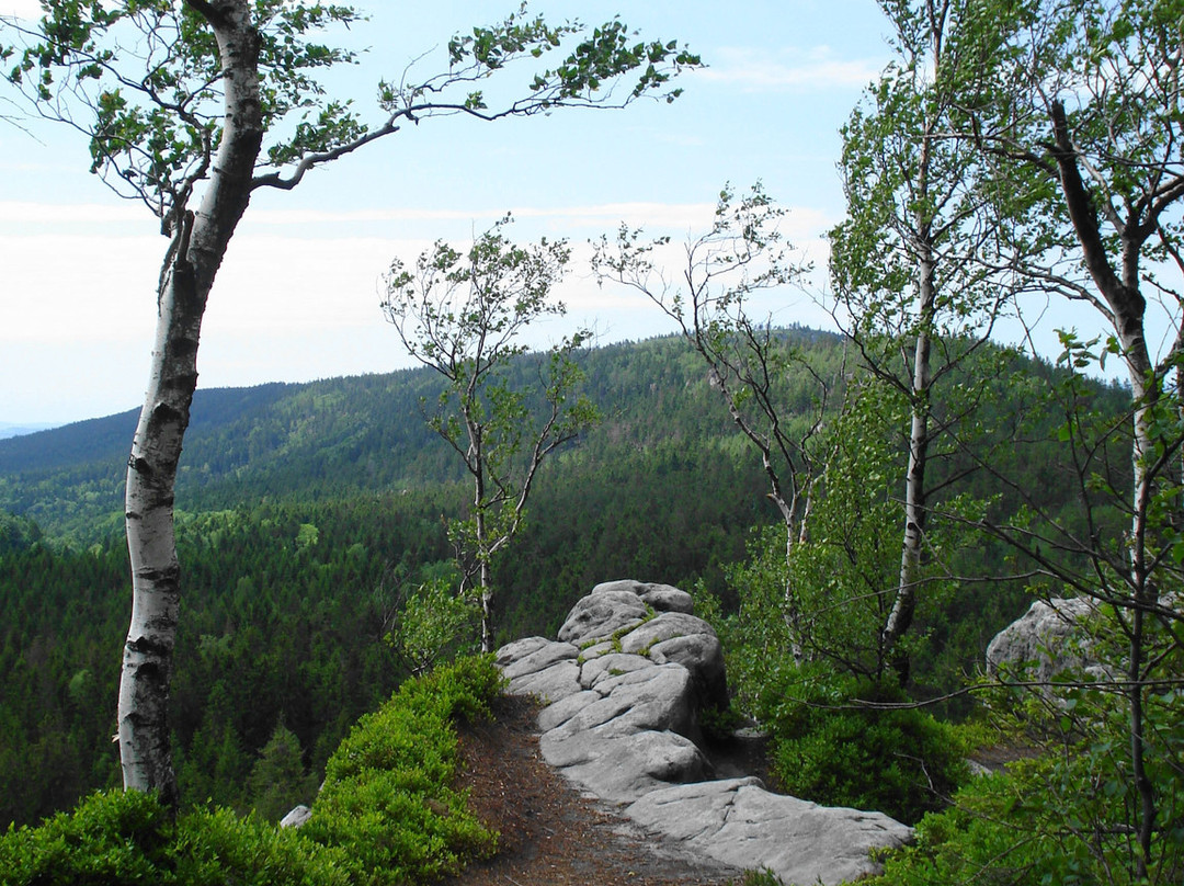 Stolowe Mountain National Park景点图片